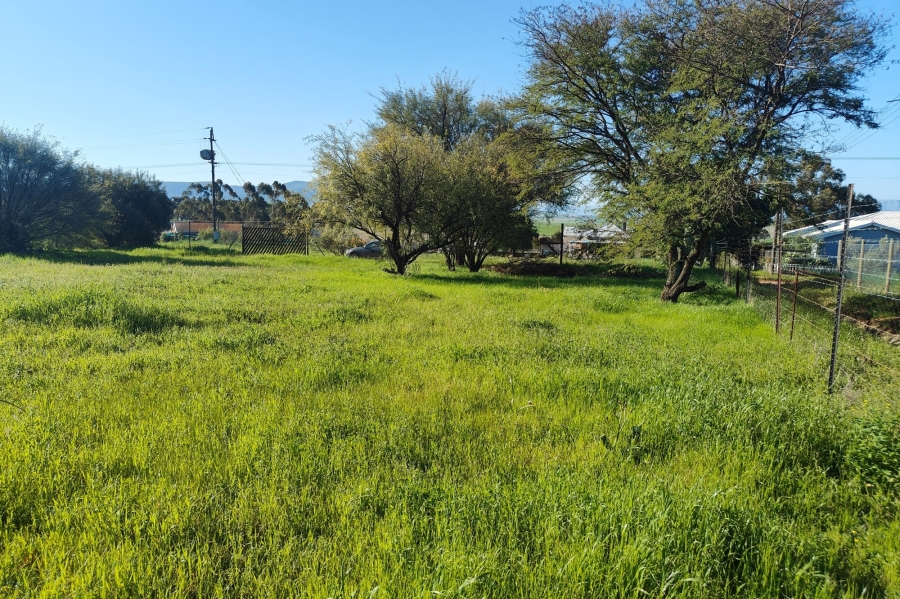 0 Bedroom Property for Sale in Koringberg Western Cape